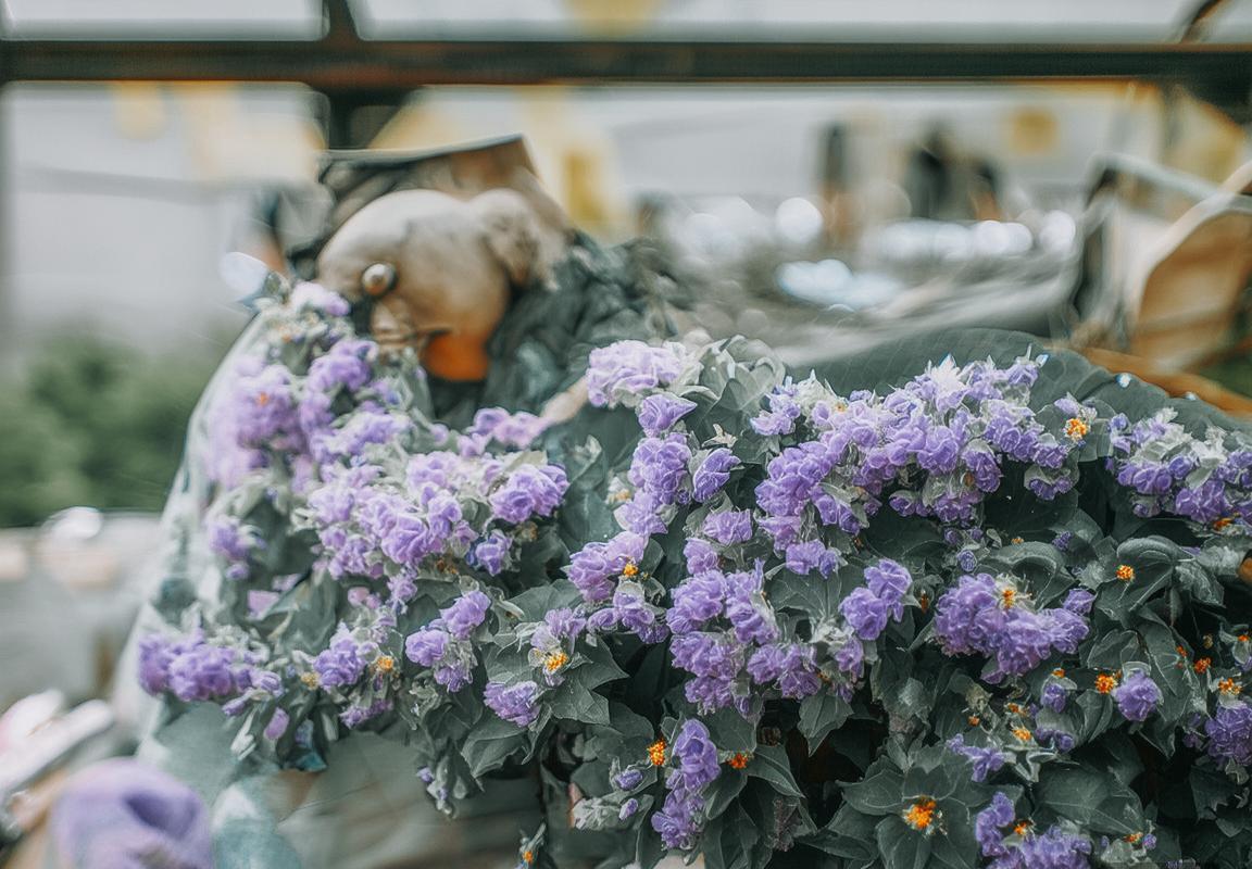 中国无畏契约发展联赛启动，八大城市设立赛点